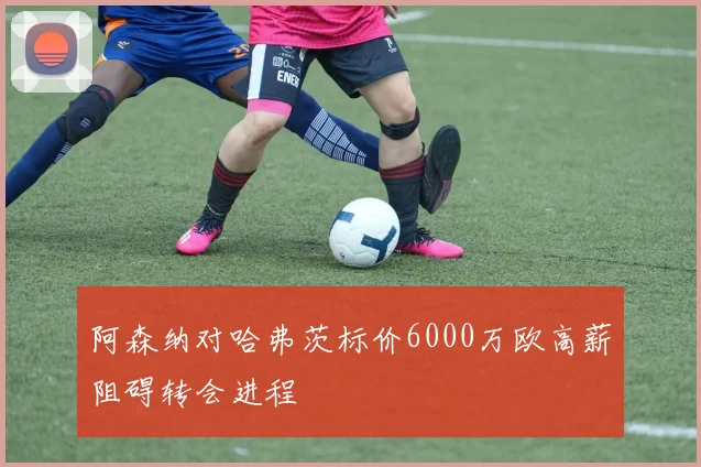 阿森纳对哈弗茨标价6000万欧高薪阻碍转会进程